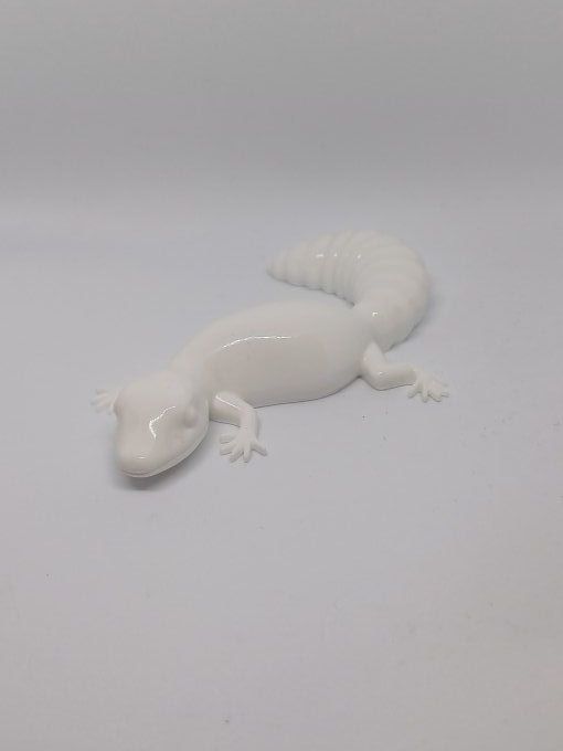 Petite salamandre